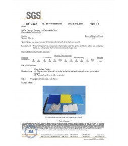 ASTM Report by SGS 02