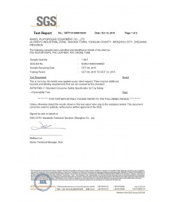 ASTM Report by SGS 01