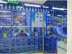 Indoor Play Structures—A Path to Their Inner World Indoor Play Structures—A Path to Their Inner World